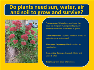 Plants need to grow.png
